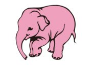 本日9/17(月・祝) デリリウムカフェトーキョーで「ランビックオータムセッション2012」！　藤原ヒロユキ×菅原亮平ランビックトークショーも。