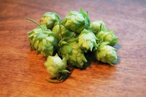 ビールで筋肉老化防止＝ホップ成分が作用