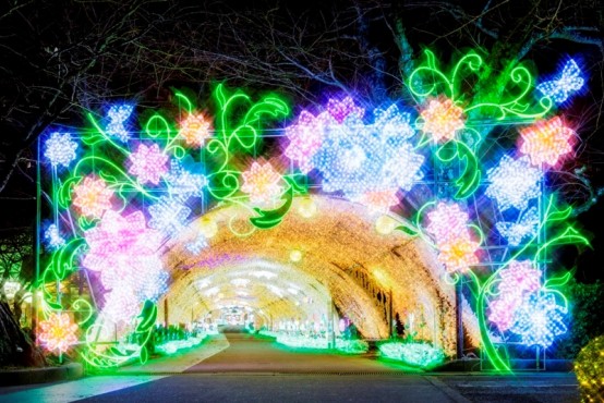 御殿場高原ビール「時之栖イルミネーションひかりのすみか2015-2016」3月21日まで毎日開催中