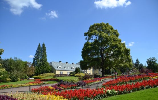 【愛知】中部のビール＆世界のグルメ！ 10/8～10は家族で楽しめる「デンパーク 秋のグルメフェスタ」にレジャーシート持参でGO！