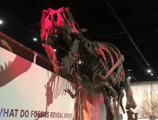 やっぱり、アメリカは凄かった！　アメリカ東海岸ビール調査レポート