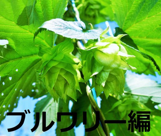 ブルワリーさんに2017年を振り返ってもらいました！