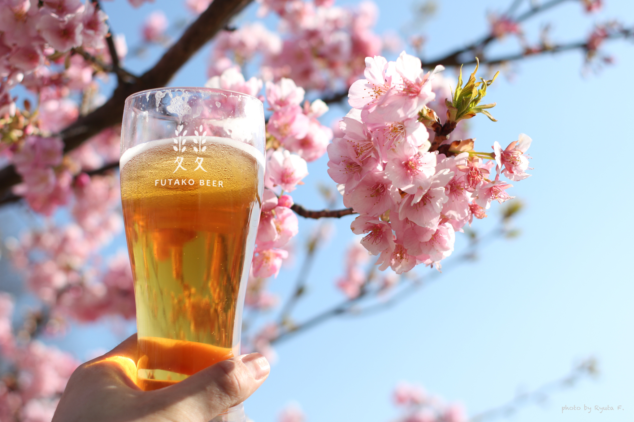 ビール フォトグラフィック ふたこビール編 日本ビアジャーナリスト協会