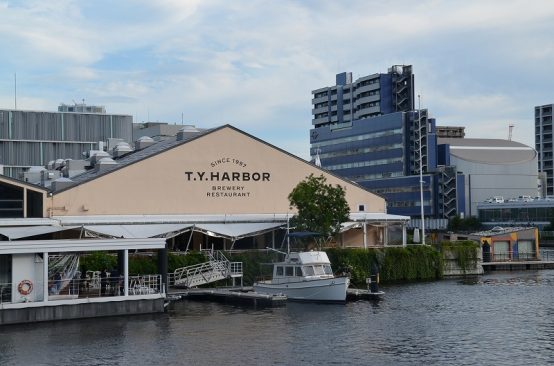 CACAO SOUR ALE カカオサワーエール-T.Y.HARBORとMinimalビールとチョコレートのコラボビール