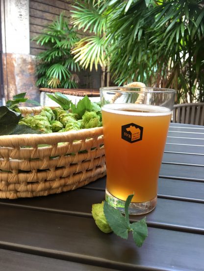 フレッシュホップビールの季節到来です。「京の初摘みホップ」新発売！