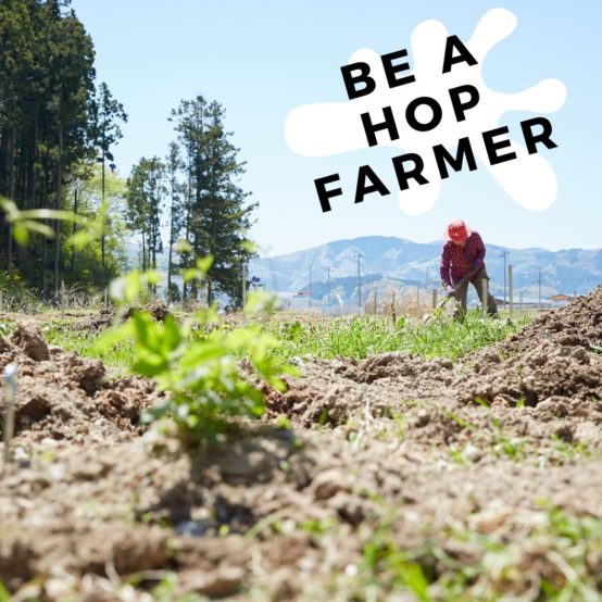 一緒にホップを育てませんか？ イシノマキ・ファームで百姓塾ホップコースを開講