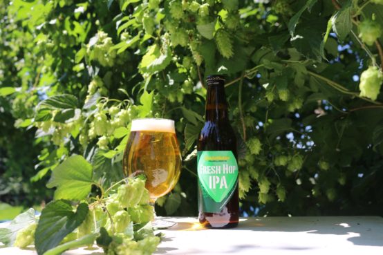 サンクトガーレン「FRESH HOP IPA」 9/5発売開始！