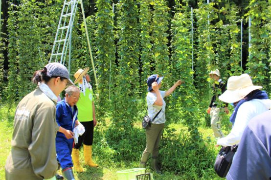 ホップ収穫体験を通して地域、社会、そして自然とつながる【イシノマキ・ファームでホップ収穫】