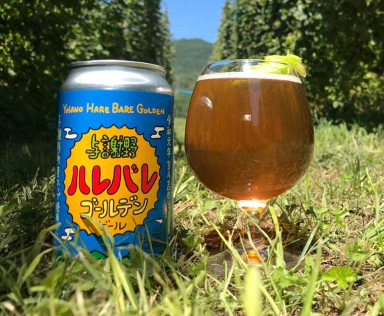 ホップの産地から気分も晴れ晴れ「与謝野ハレバレゴールデンビール」限定発売