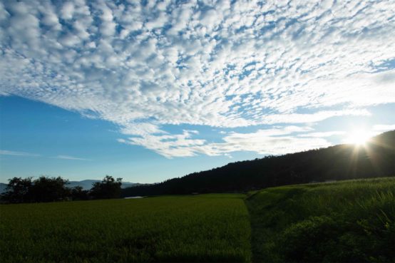 新年 明けましておめでとうございます。