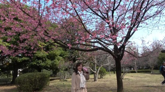 【JBJAChannel】2020年桜開花宣言！今年風の正しきお花見ビールのススメ