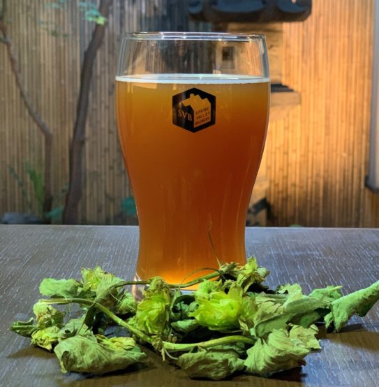 京都産原料にこだわった「京都YOSANO IPA～天然酵母ver.～」。2020年7月3日（金）からSPRING VALLEY BREWERYで数量限定発売