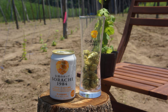 「国産ソラチエース100％使用」という夢への第一歩　～上富良野町でソラチエースの苗の植え付け体験