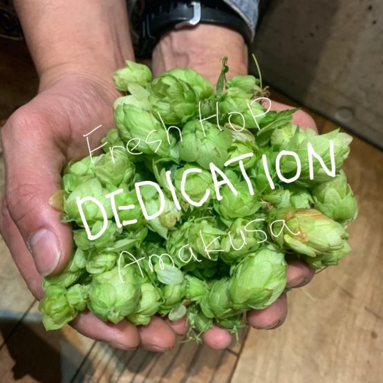 熊本県天草産フレッシュホップ100％使用！“ひたむき”なビールが完成しました