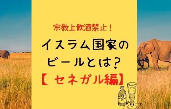 飲酒禁止のイスラム国家。現地のビールとは。【セネガル共和国編】