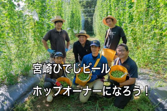 宮崎ひでじビール今年もやります！ホップ株オーナー募集開始
