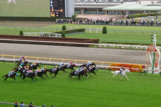 【ビールなおでかけ】競馬場でビールを楽しもう！！