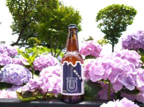 白山神社のあじさい祭りで大学のビールと出会いました【JBJAChannel】