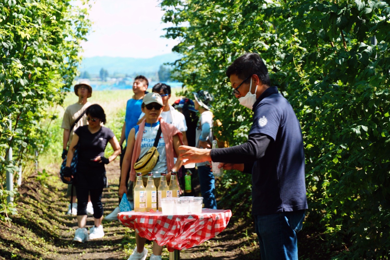 各回5名限定！ 岩手県遠野市のホップ畑でホップの歴史と魅力を学んで