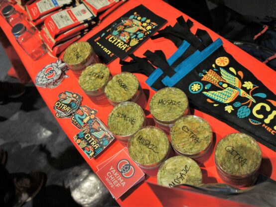 「Hood to Fuji」オレゴンホップ教育・センソリーセッションレポート