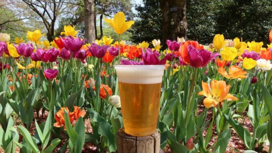 手ぶらで行こう！国営昭和記念公園でチューリップを見ながら飲むビールが最高！