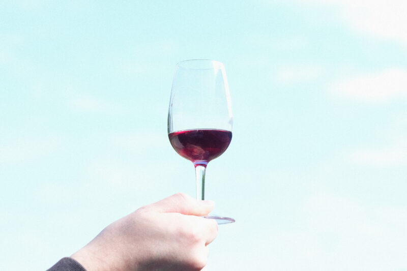 セゾンビールの味わいに赤ワインのフルーティさ、酵母由来の野性味あふれる香りが重なる一杯