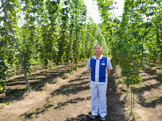 【北海道】上富良野ホップ試験栽培100周年、札幌駅ナカに「SORACHI 1984」専門店も（前編）