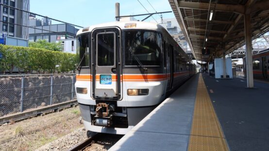 特急「ふじかわ号」で富士川を下りながら車窓とビールと弁当を楽しむ！