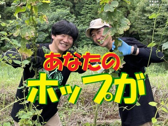 “あなたのホップ”がクラフトビールに！ホップオーナー権を買ってみた