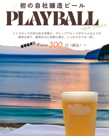 PLAYBALLチラシ