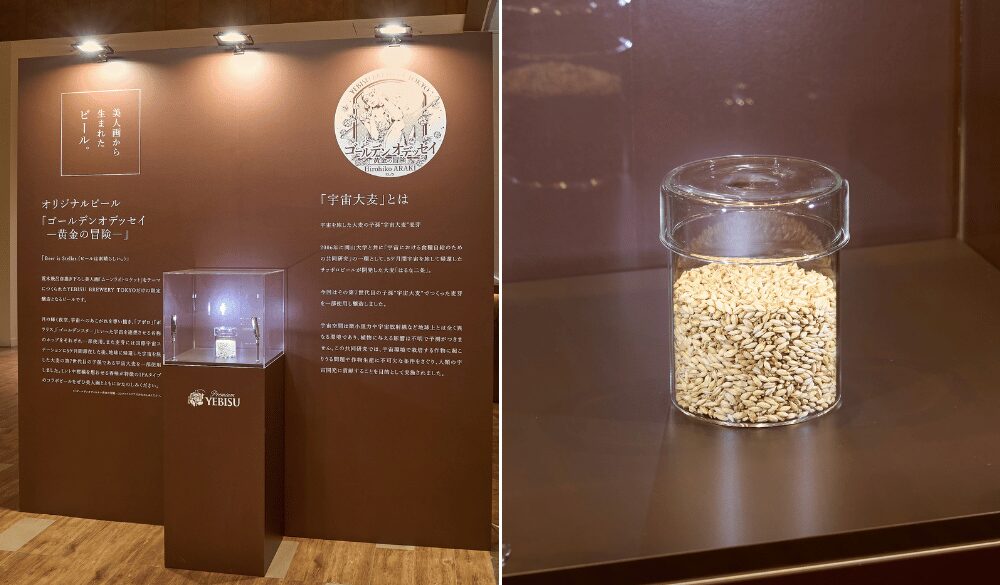 「宇宙大麦」の子孫を一部使用し、より美人画のテーマとの親和性を高めています