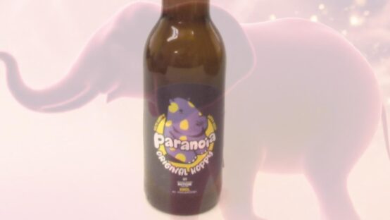 なぜ酔っぱらうと“ピンクの象”が見えるのか？——水玉のカバへ続く物語【JBJAChannel】