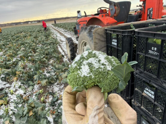 北海道の農家が挑戦した委託醸造というビールづくり