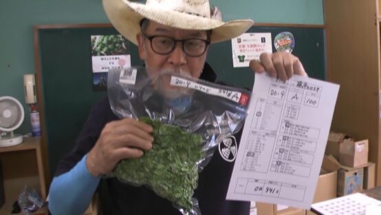 ホップを摘むと、ビールの香りが見えてくる。京都・与謝野町で体験した手摘み収穫と真空パッキング【JBJAChannel】