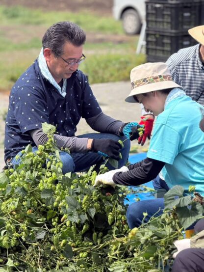ノースアイランドビールが地元農家と歩むフレッシュホップビール～北海道ブルワリー探訪vol.5_後編～